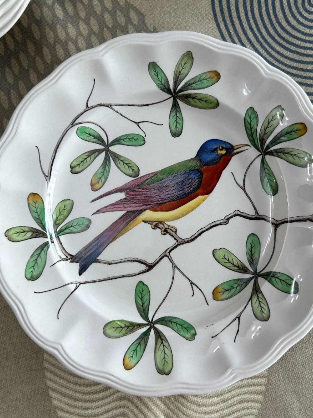 COPELAND SPODE "CHRISTOPHER WREN" PATTERN